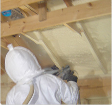 Insulation Replacement Henderson KY
